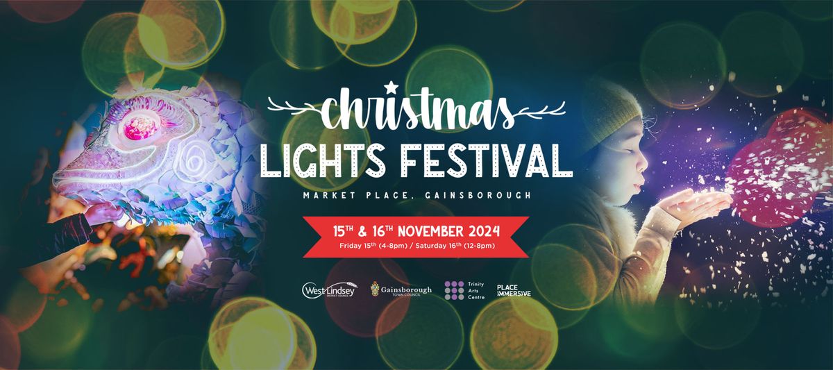 Christmas Lights Festival 2024