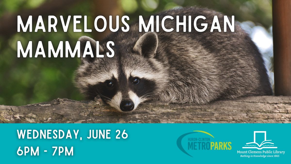 Marvelous Michigan Mammals