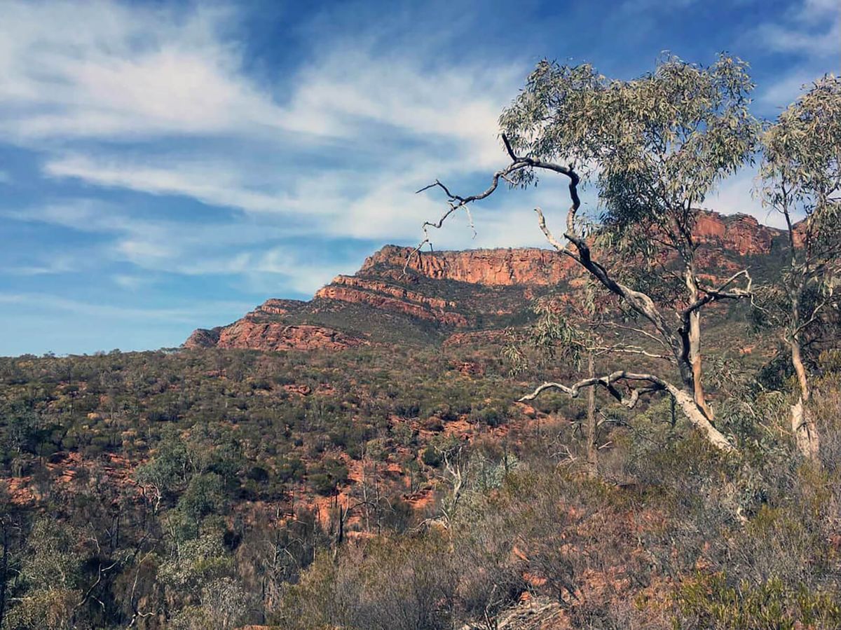 Northern Flinders Ranges Weekender For Women