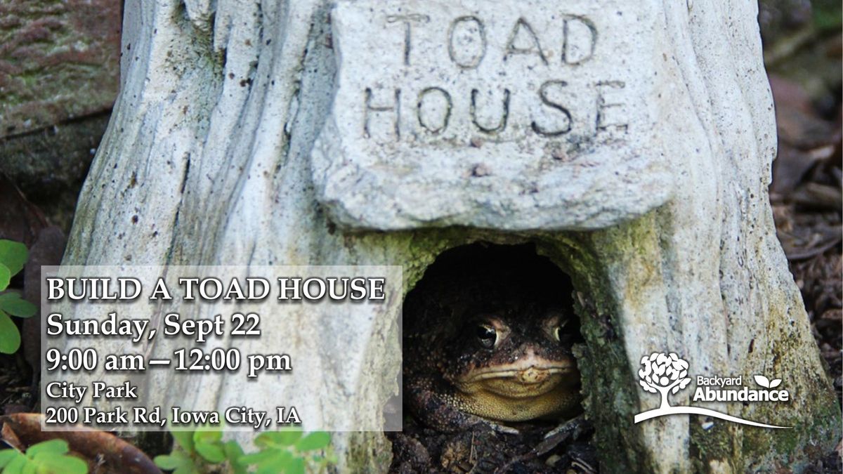 Build a Toad House