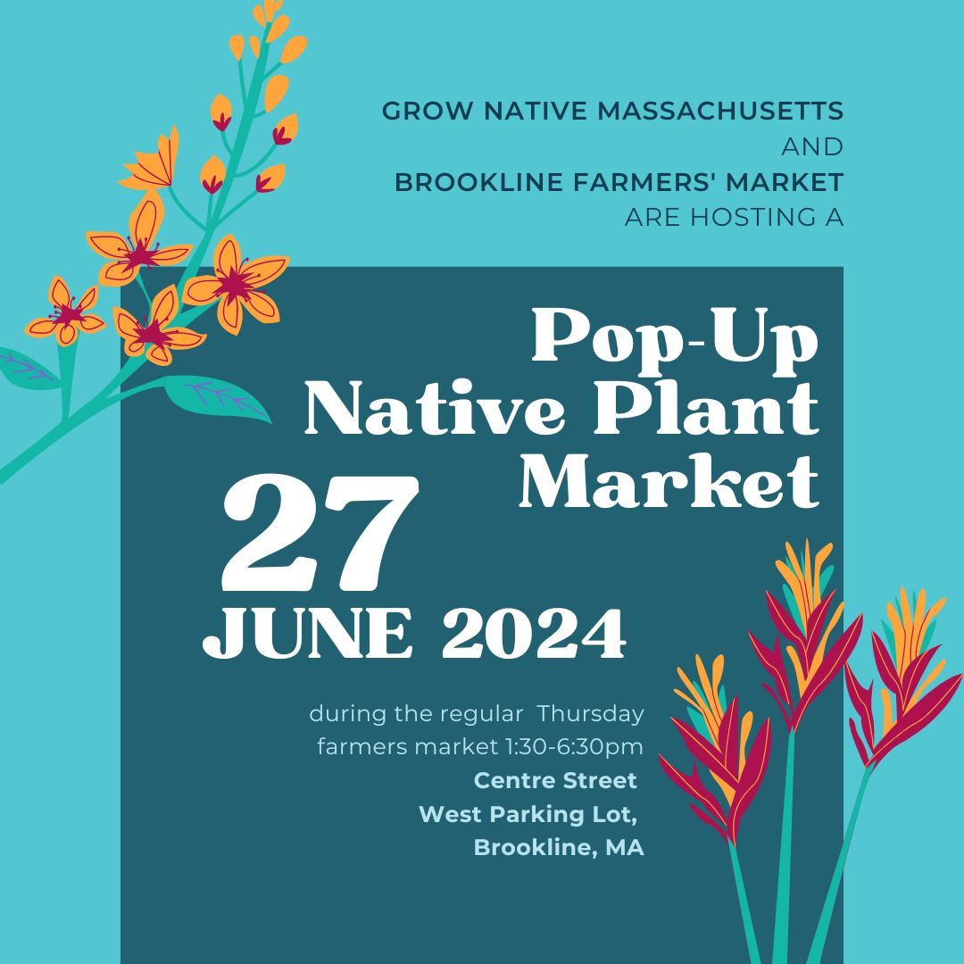 Pop-Up Native Plant Market at Brookline Farmers Market
