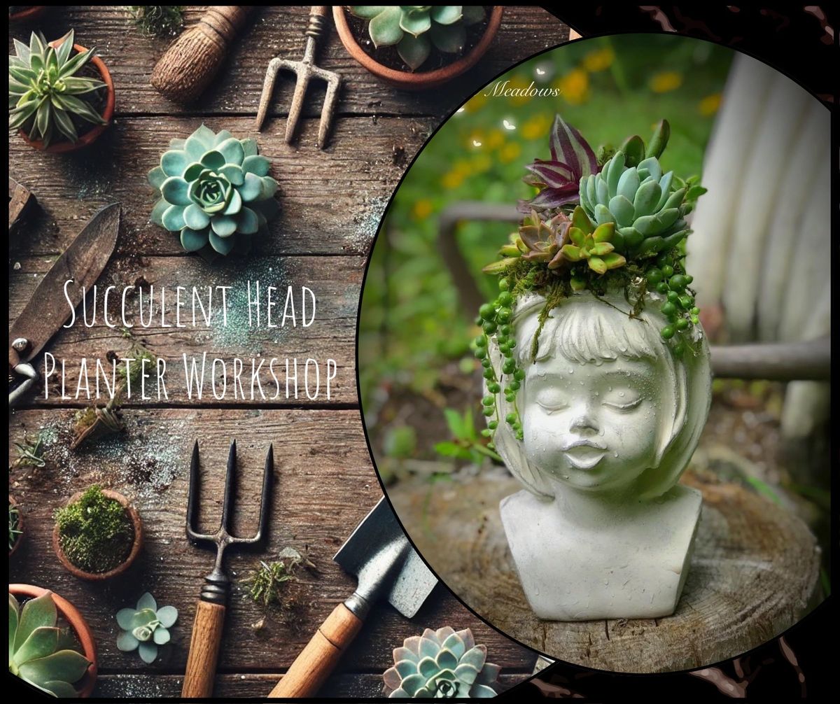 Succulent Head Planter Workshop