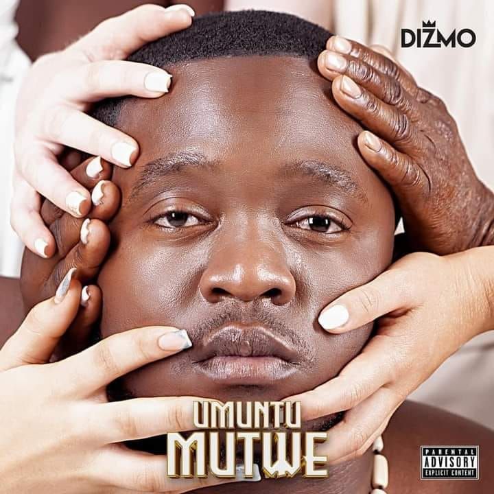 Dizmo's album 