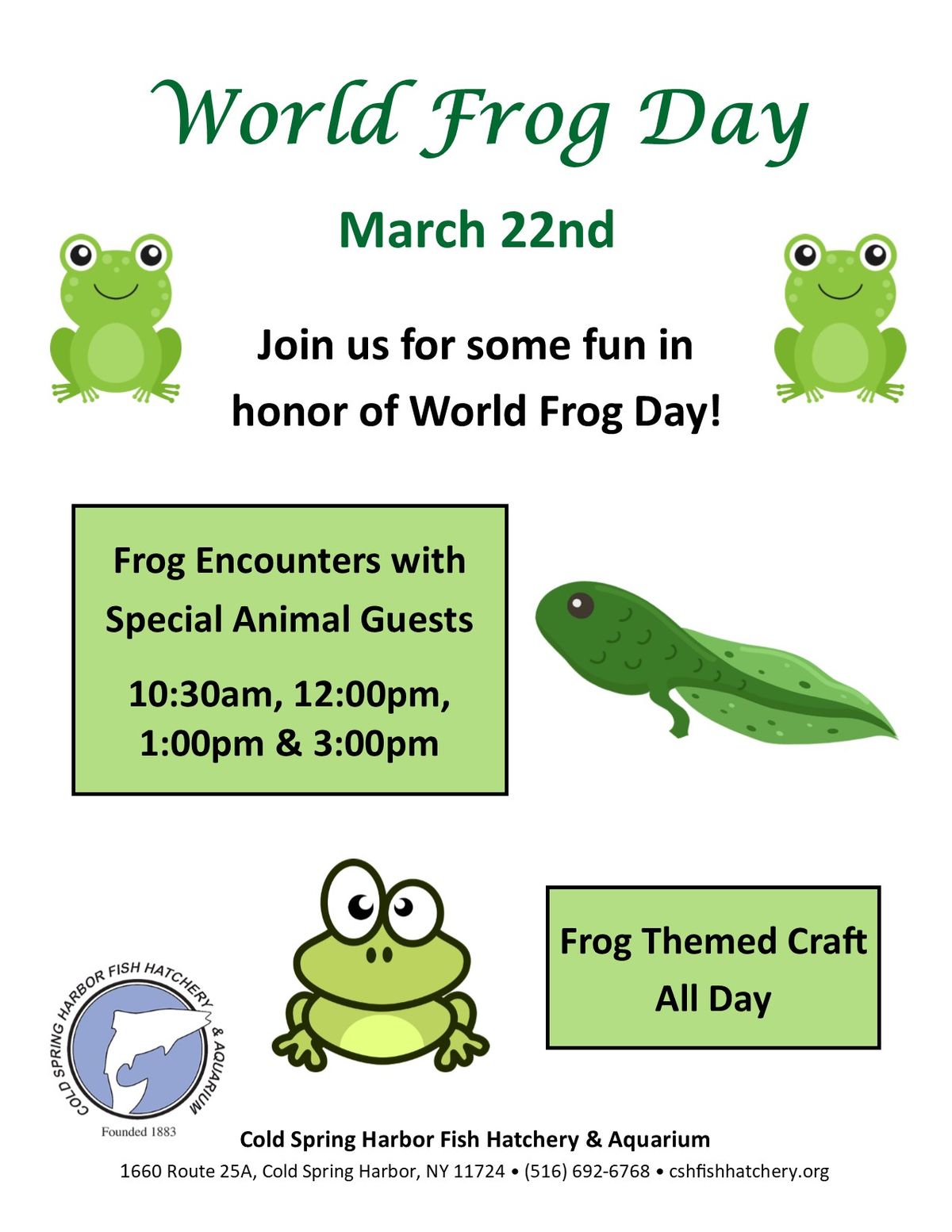 World Frog Day Craft