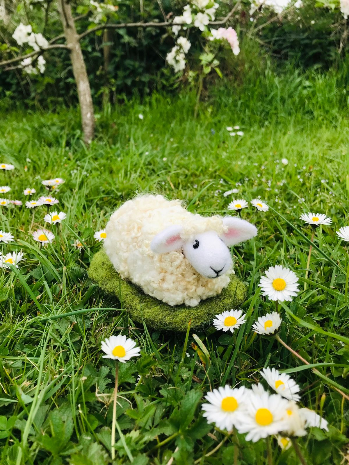 Needle Felted Curly Sheep Workshop - Sakura Studio Gallery - FULLY BOOKED 