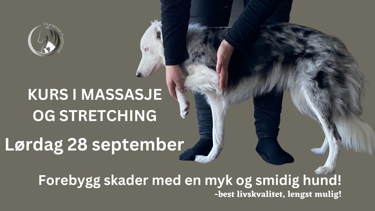 Kurs i massasje og stertching