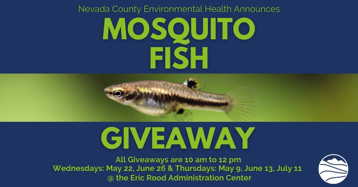 Mosquito Fish Giveaways