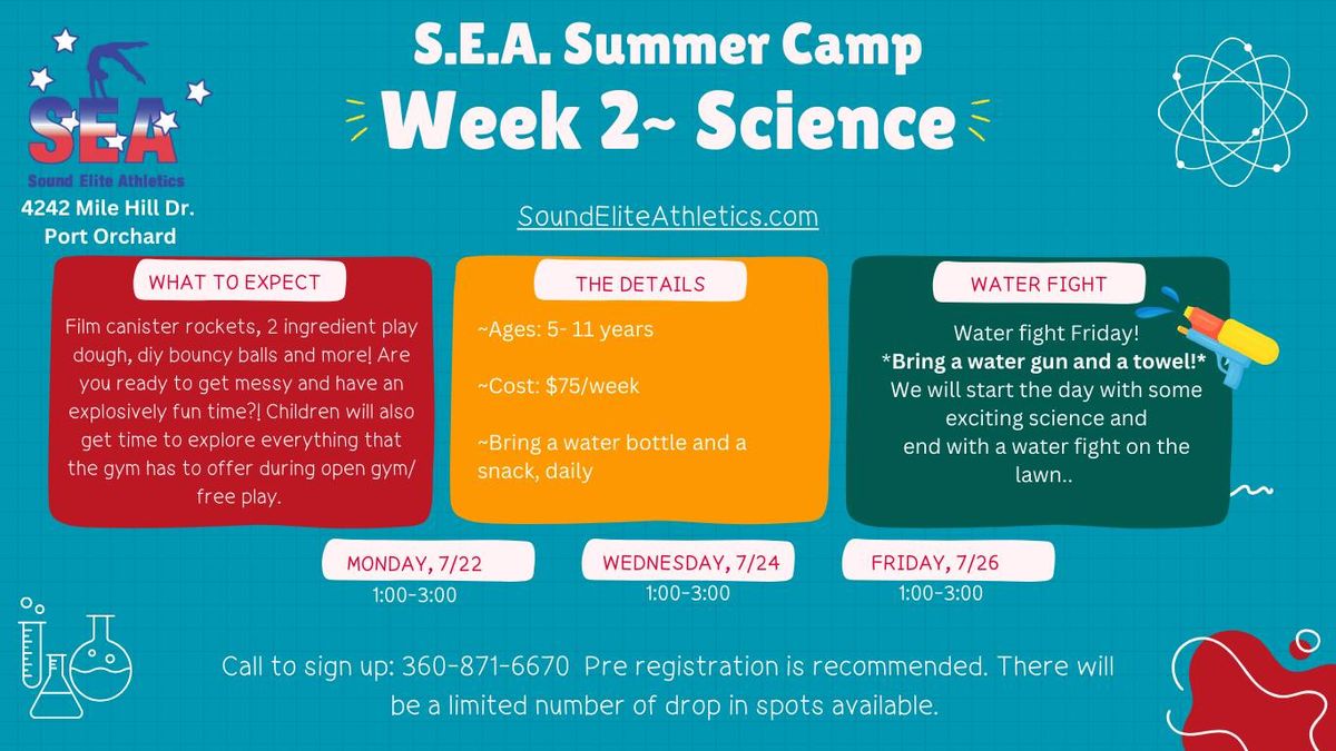 Summer Camp: Science 