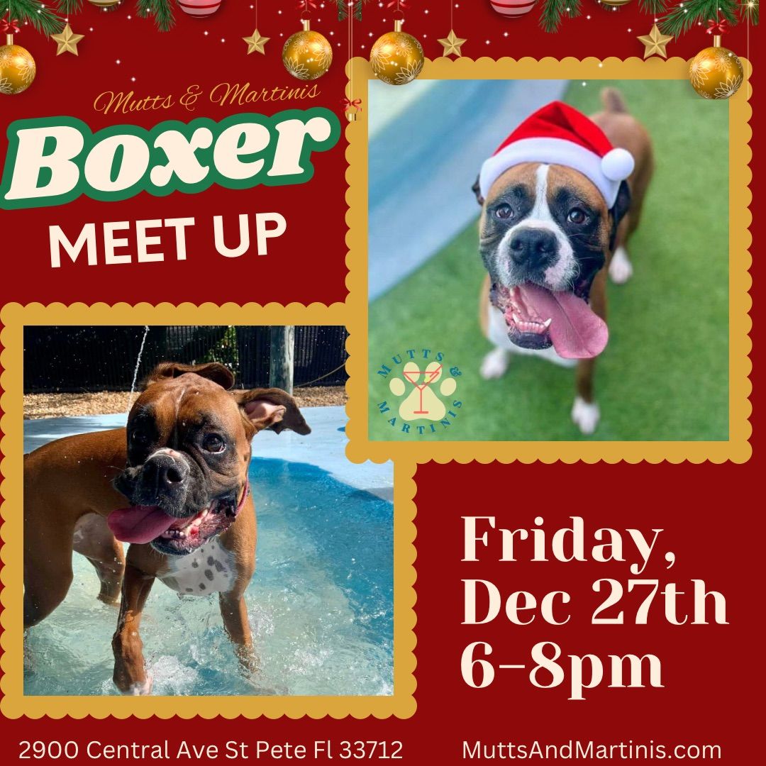 Boxer Meet Up at Mutts & Martinis