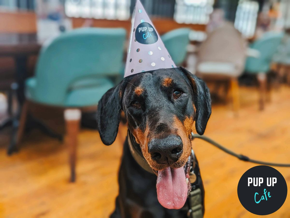 All Large Paws Welcome Pup Up Cafe - Bristol