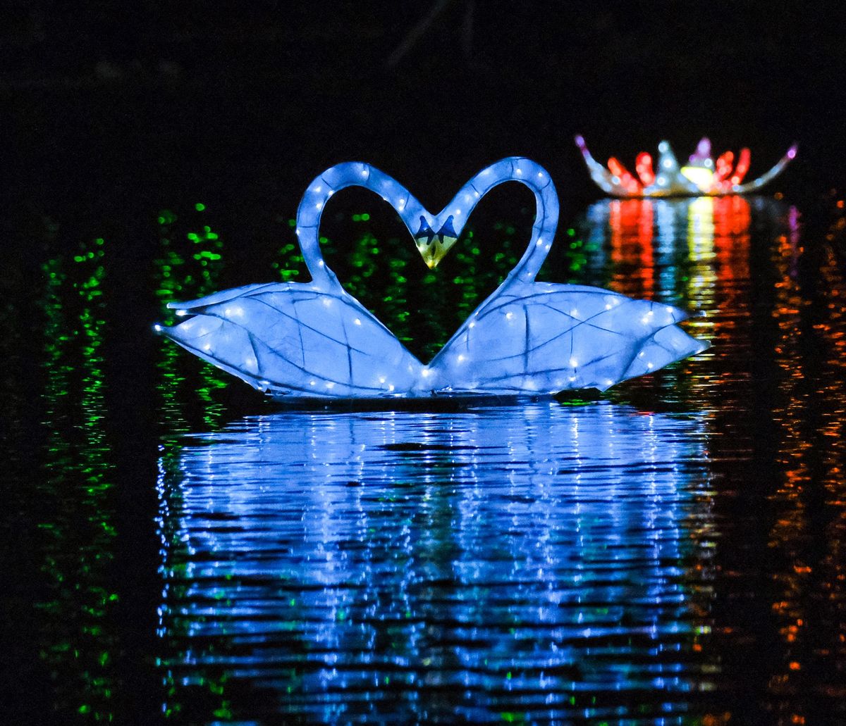 Moonlight on the Lake