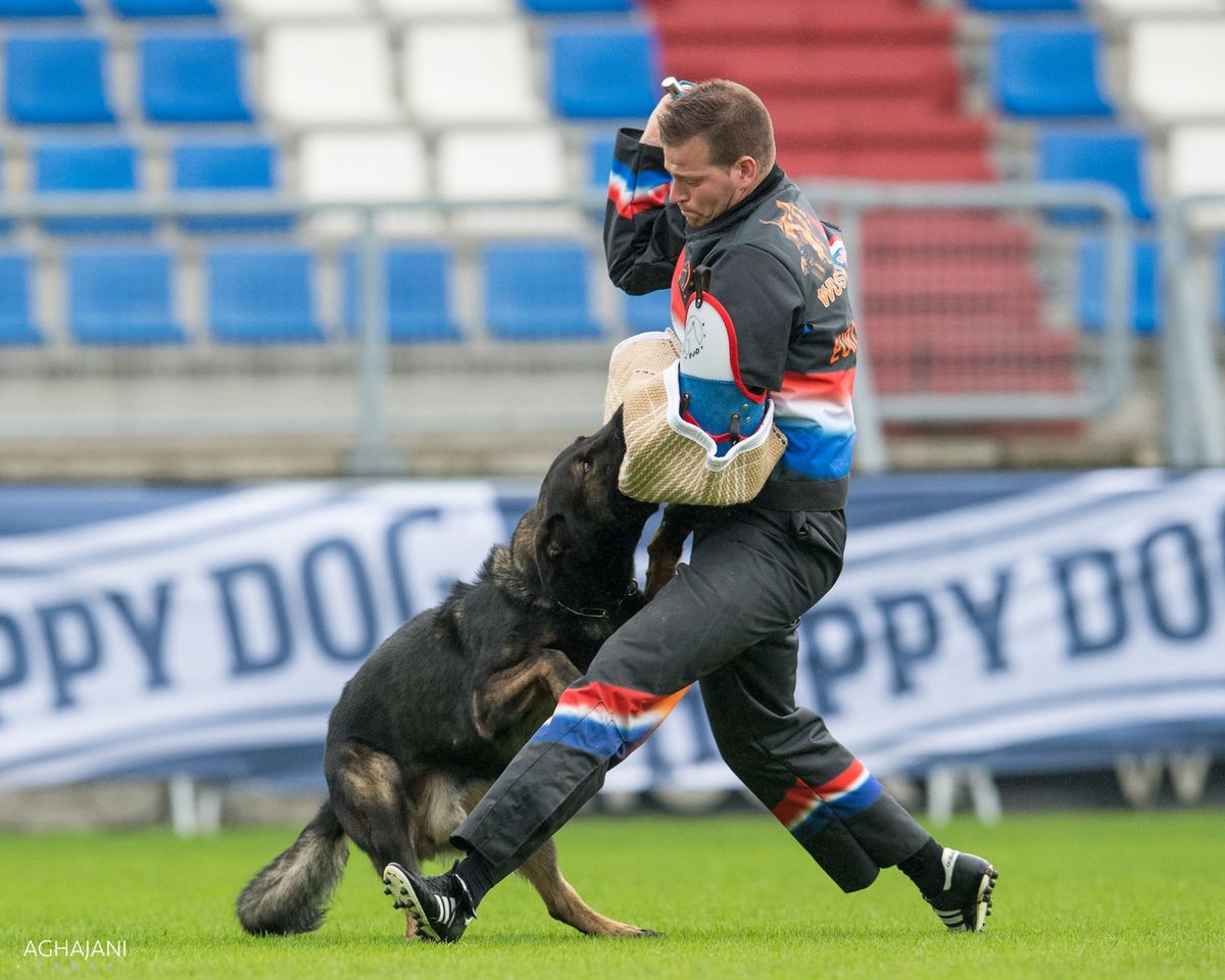 Seminar with Jan Van Maren