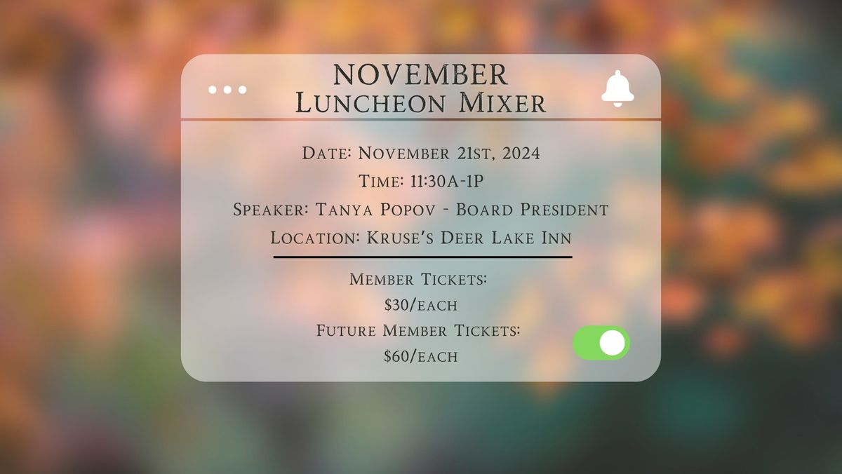 November 2024 Luncheon Mixer