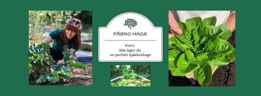 Kurs: Slik lager du en perfekt kj\u00f8kkenhage