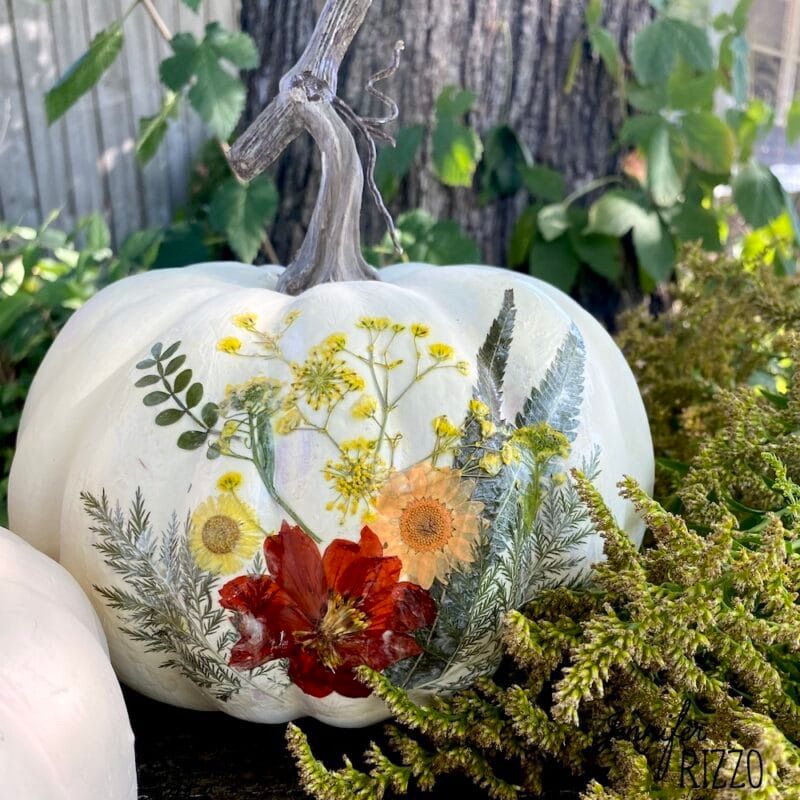 Pumpkin Harvest Crafting - 2nd Date Added 