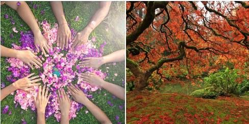 Sacred Sisterhood Autumn Spiral 2024