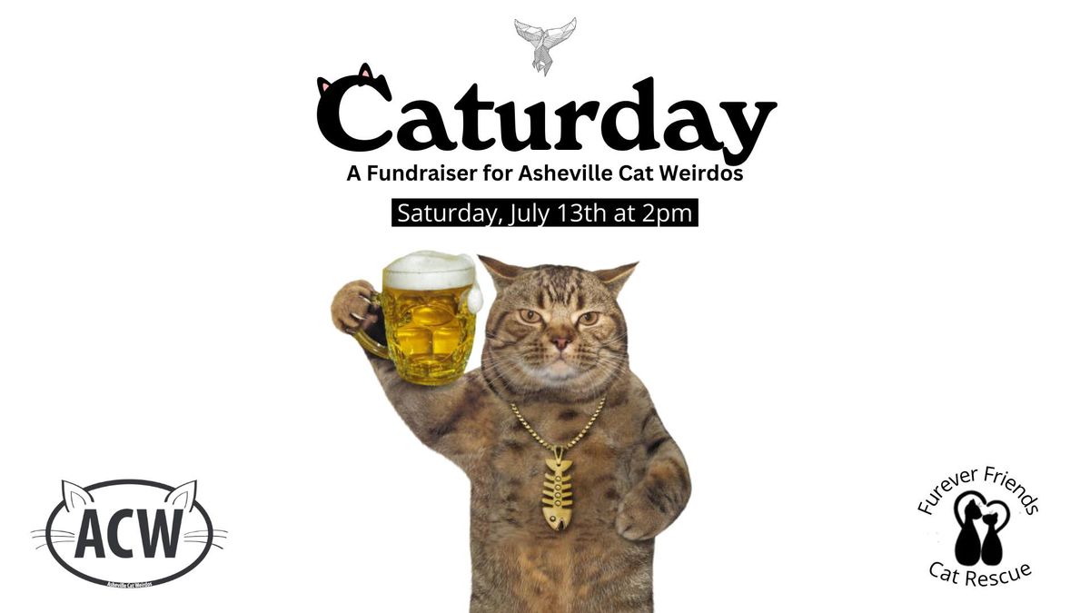 Caturday :: Asheville Cat Weirdos Fundraiser