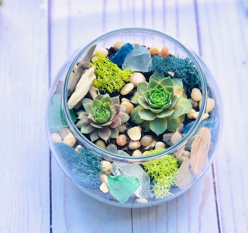 Terrarium Planting Workshop