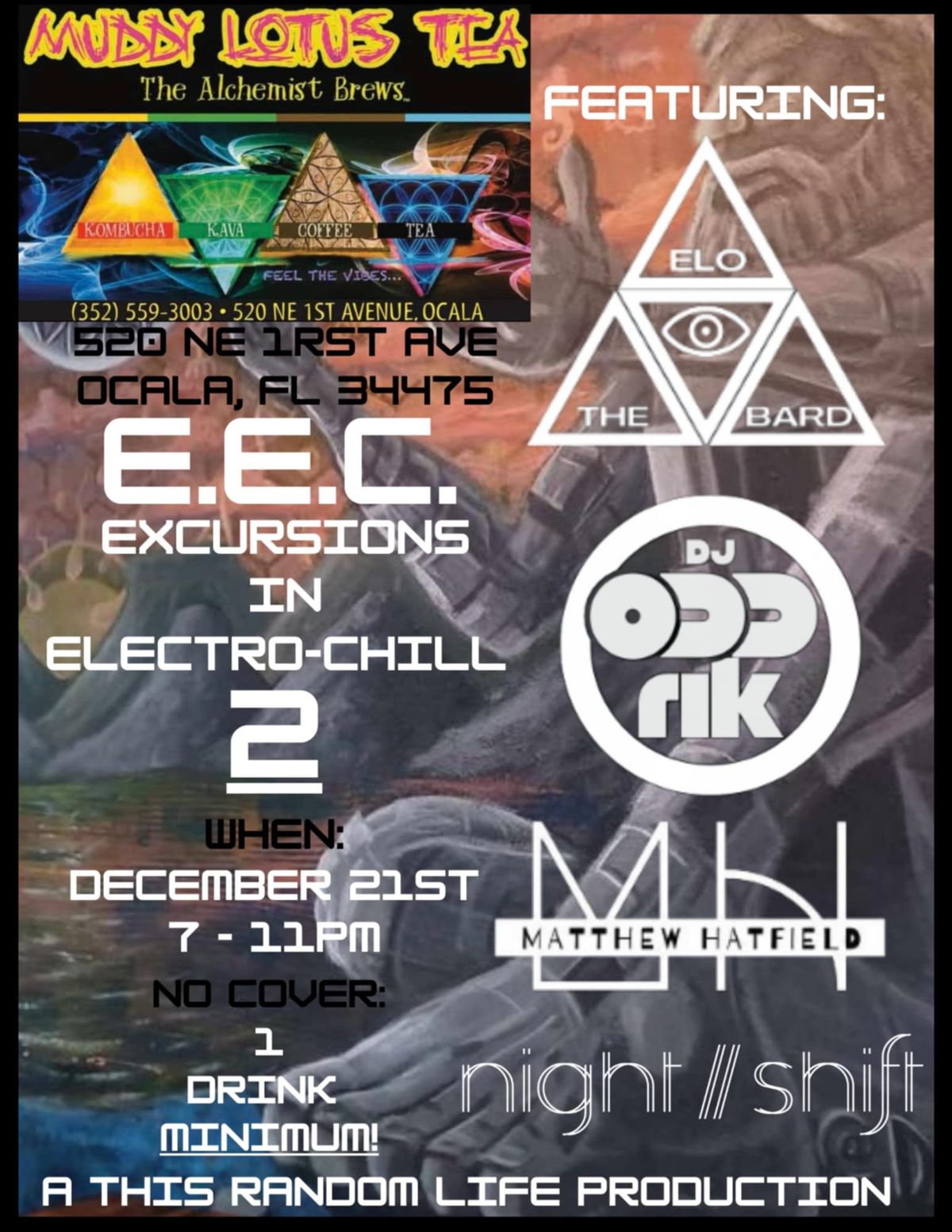 Excursions in Electro-Chill 2! 