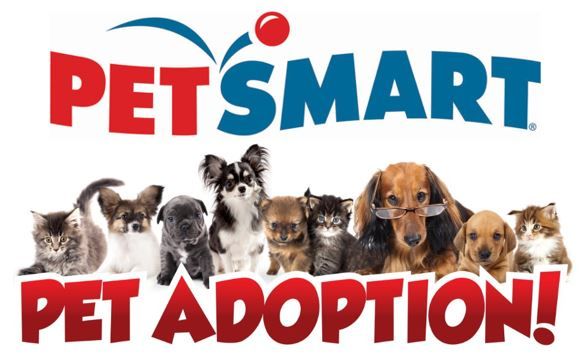 FMAS Adoption Event (Tentative)