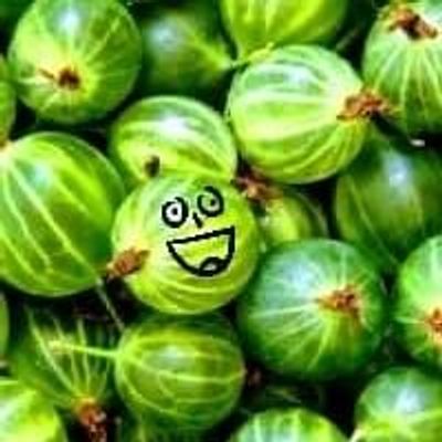 The Lost Gooseberries