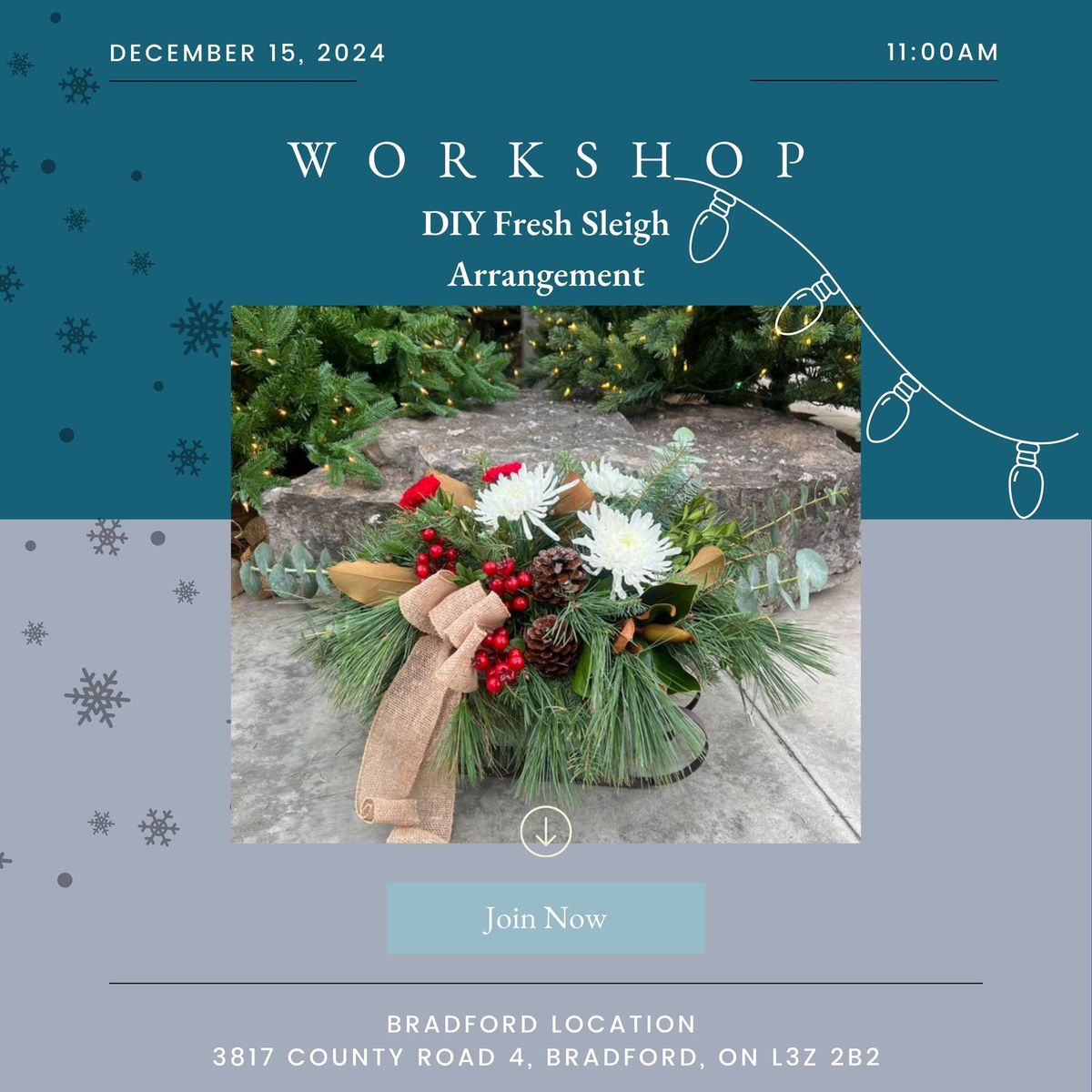 DIY Fresh Sleigh Arrangement Workshop Tickets (Bradford Location)