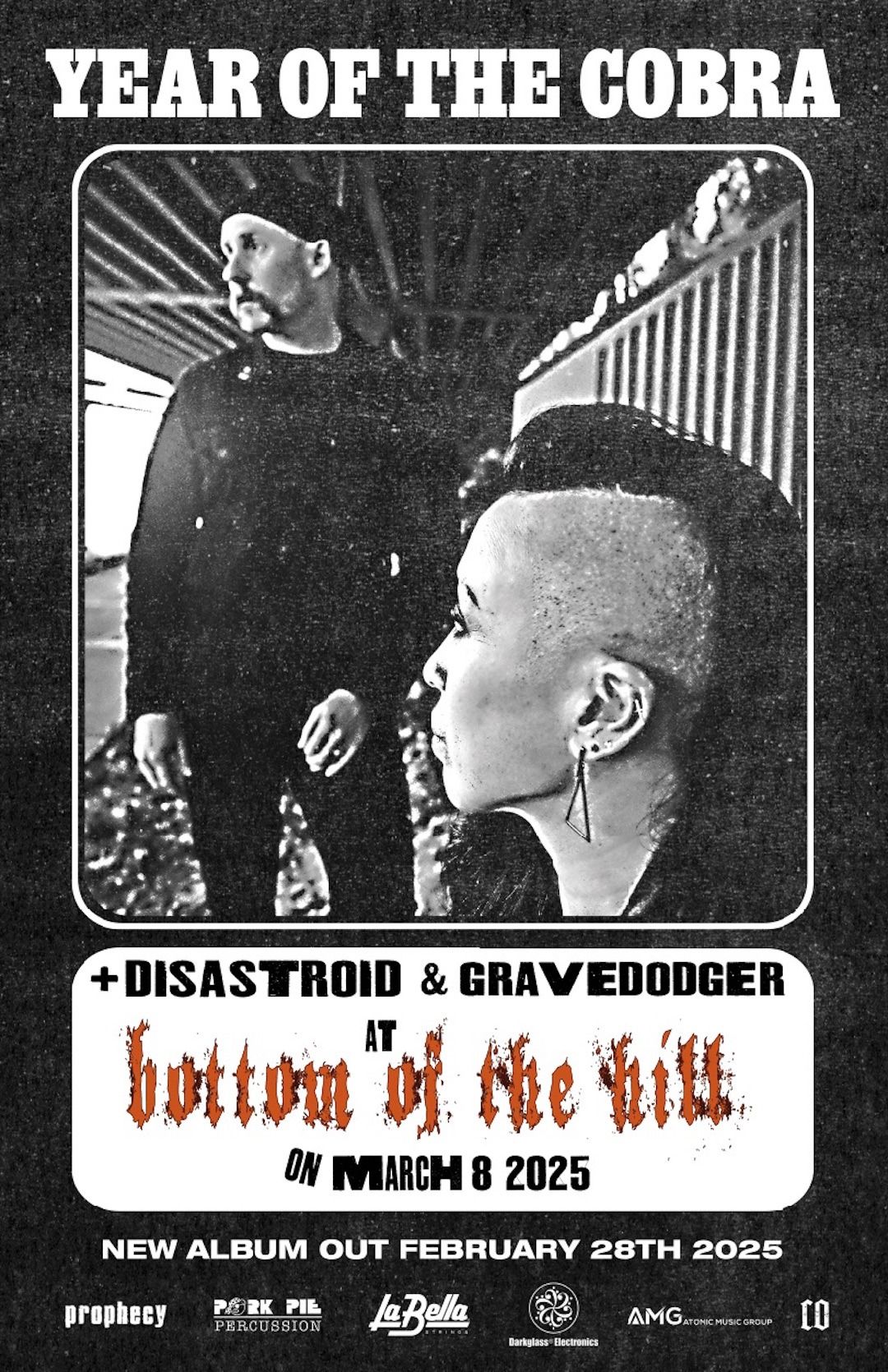 Year of the Cobra ~ Disastroid ~ Gravedodger