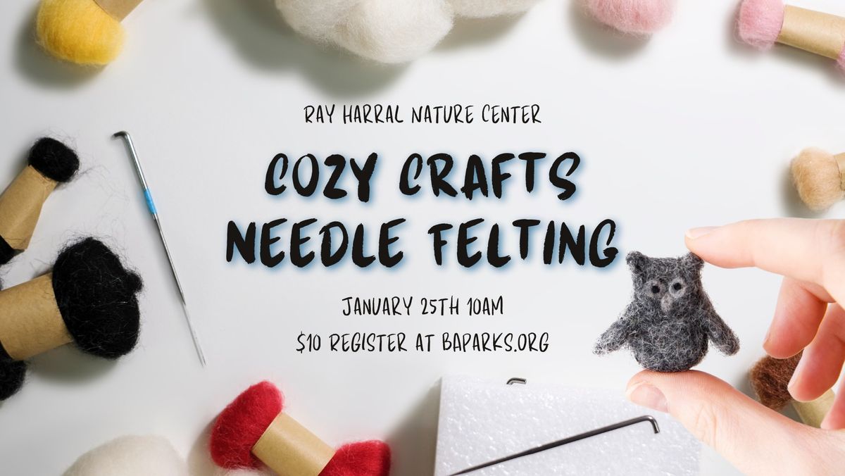 Cozy Crafts - Needle Felt