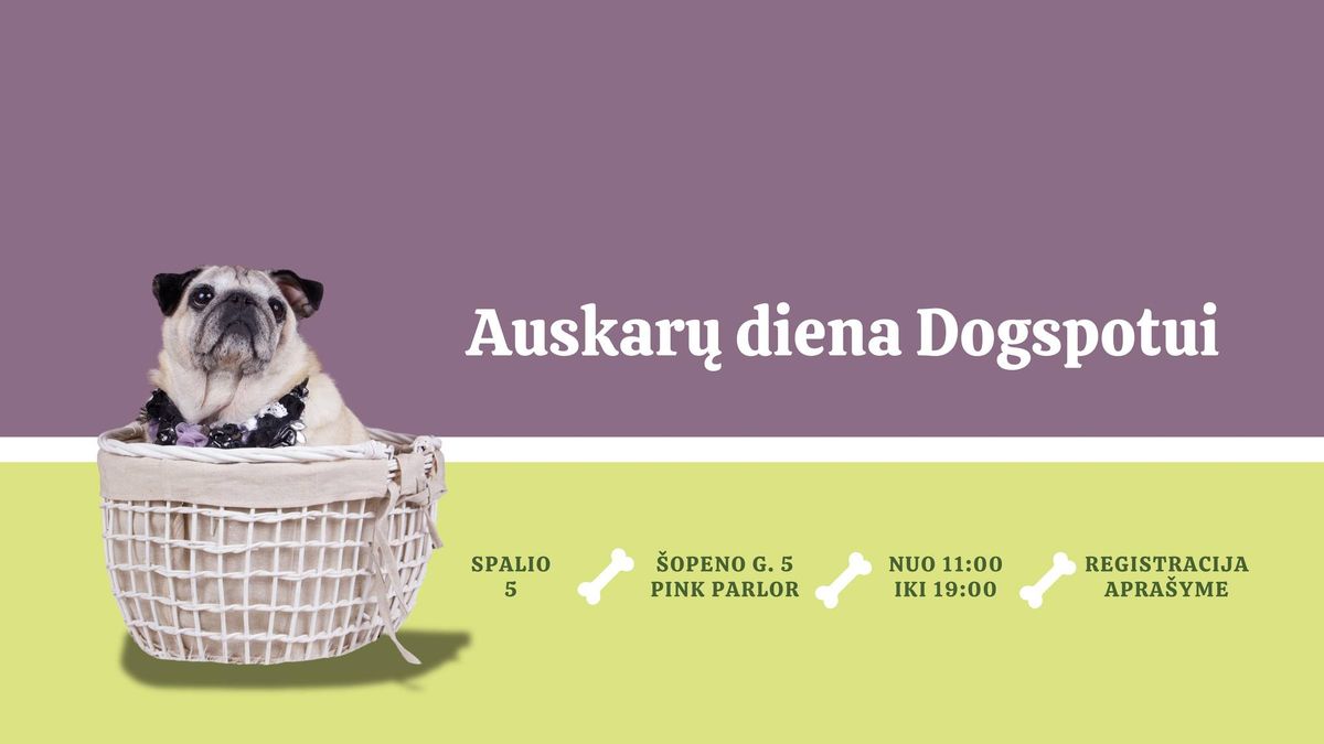 Auskar\u0173 diena Dogspotui!!!