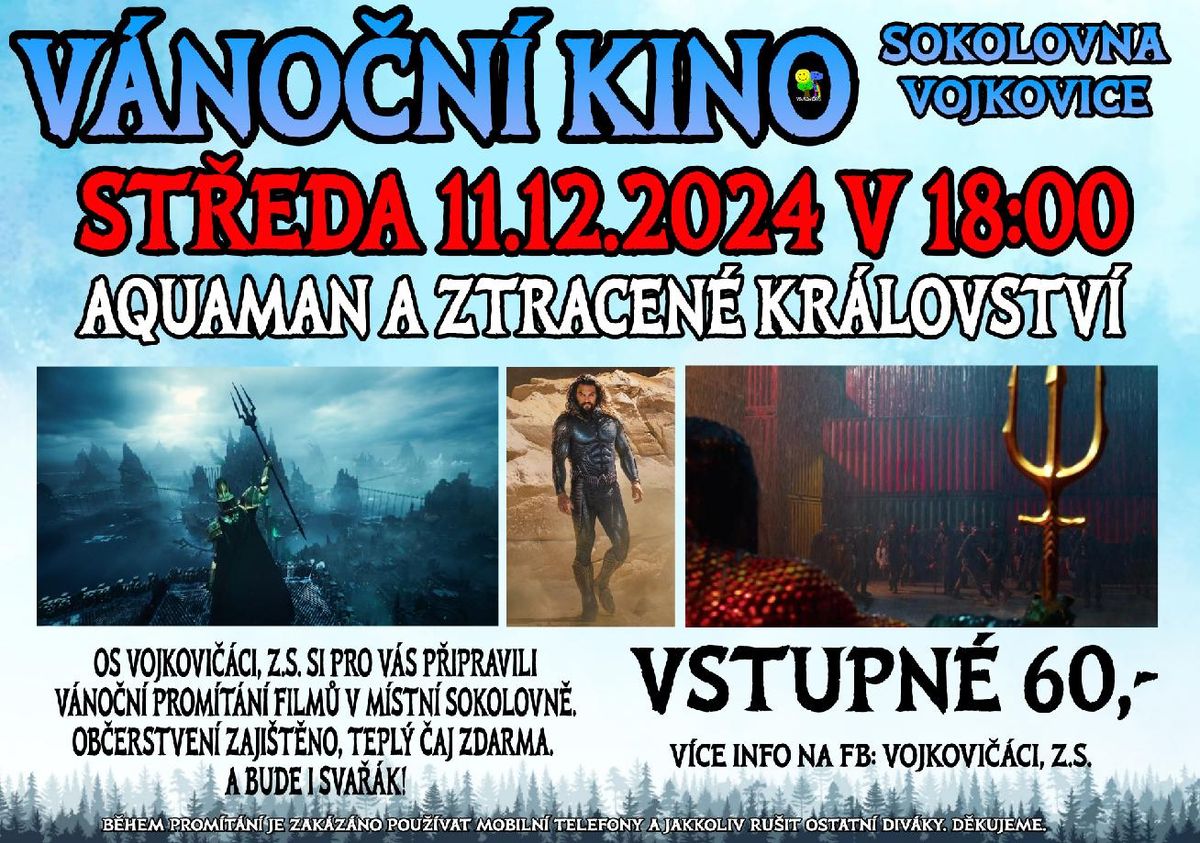 KINO VE VOJKOVIC\u00cdCH? V\u00e1no\u010dn\u00ed prom\u00edt\u00e1n\u00ed 11. prosince 2024 v 18h