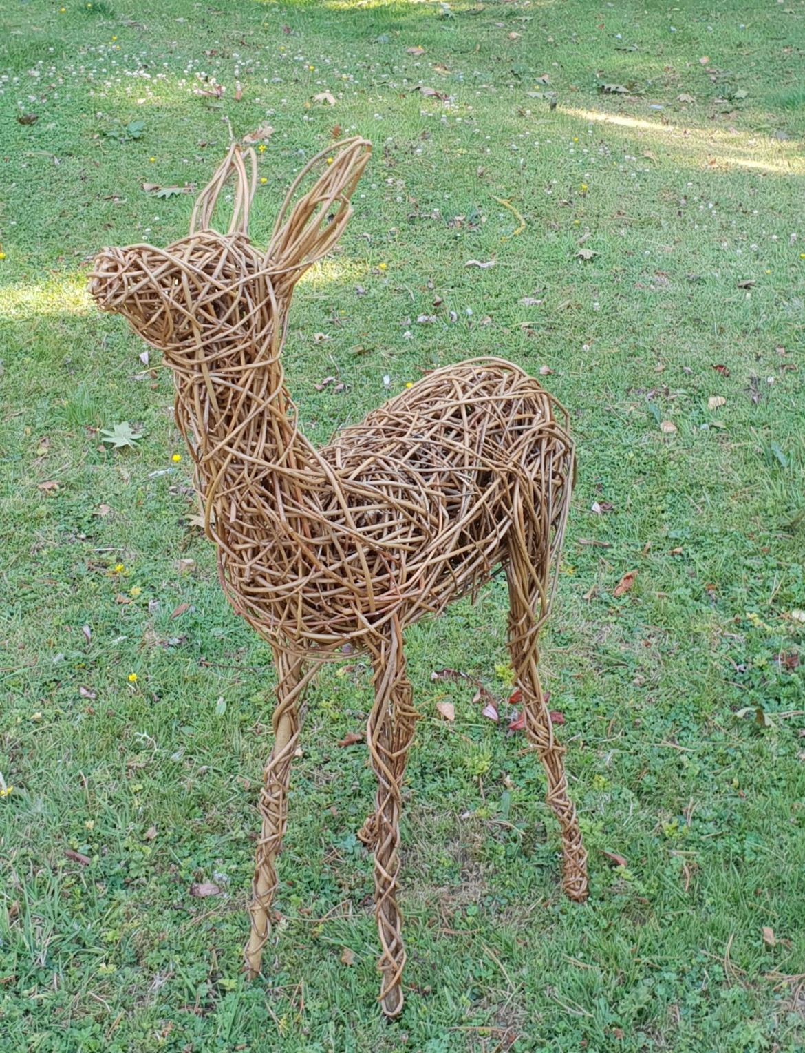 Willow Weaving Workshop - The Baby Reindeer (Fawn) 