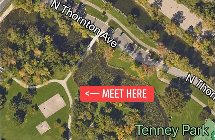 Tenney Park Outdoor Yoga 