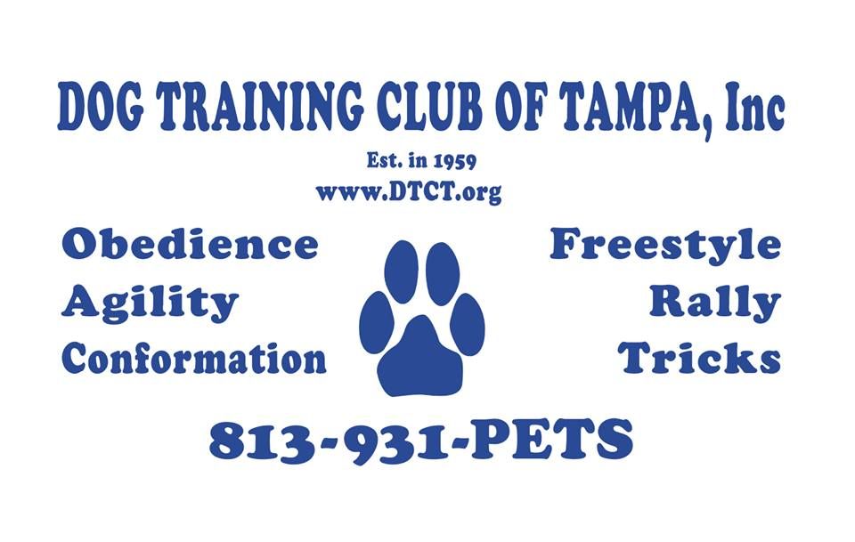 DTCT TDAA Agility Trial - Save the Date!!