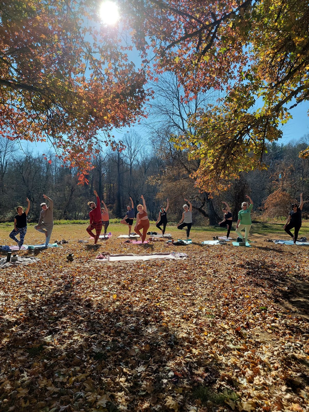 Yoga in the Park Asheville