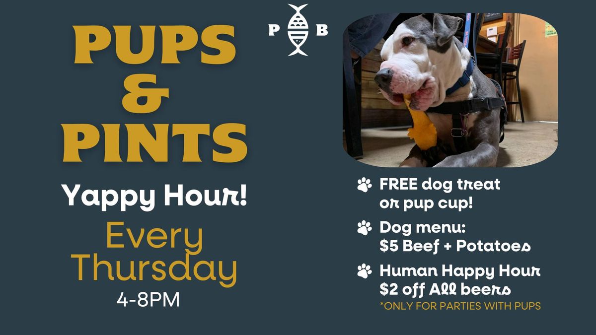 Pups N' Pints at Pompano Beach Brewing Company