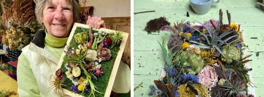 Airplant & Moss Frame Workshop