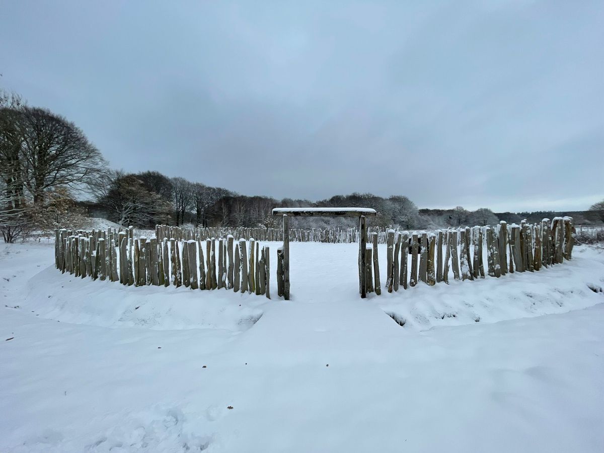 Neujahr im Steinzeitpark 