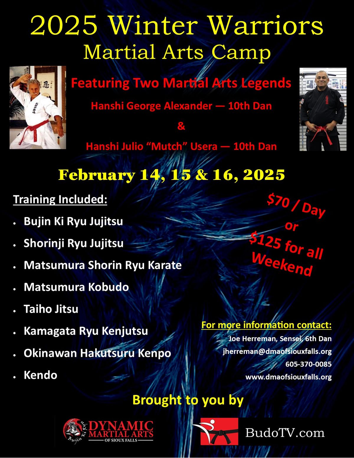 Winter Warrior Martial Arts Camp