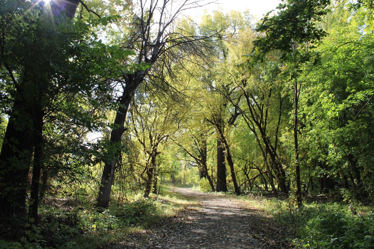 Intro to Hiking: Spooky Hike