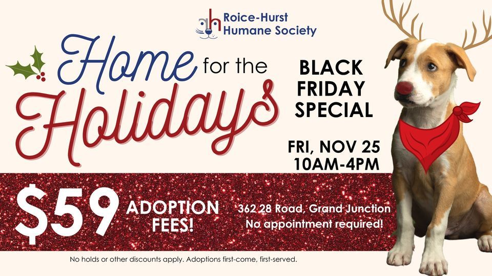 Black Friday: Home For The Holidays $59 Pet Adoption Special!, Roice ...