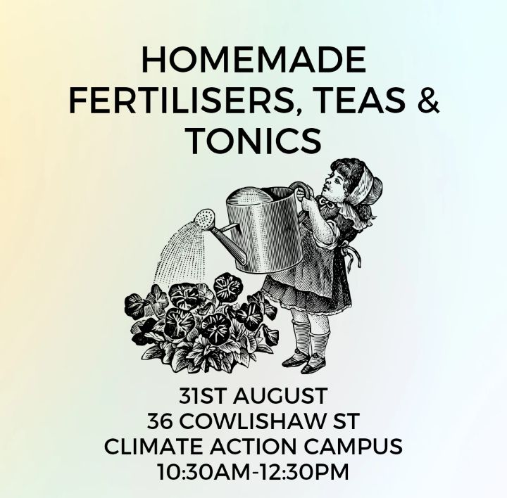 Homemade Fertilisers & Tonics