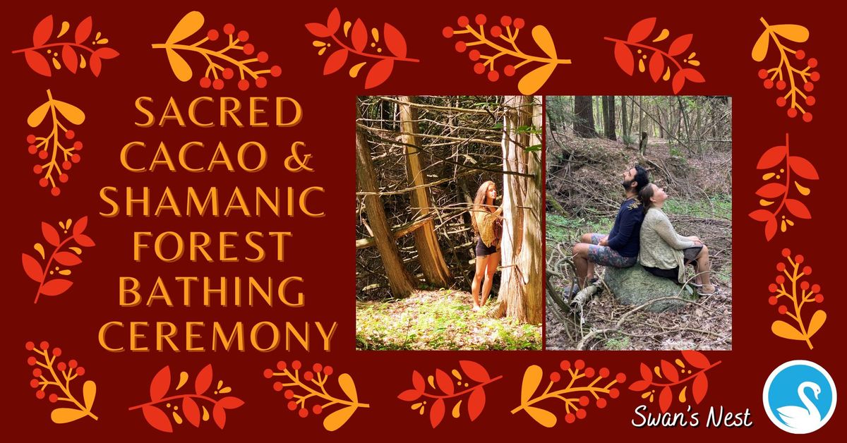 Sacred Cacao & Shamanic Forest Bathing Ceremony