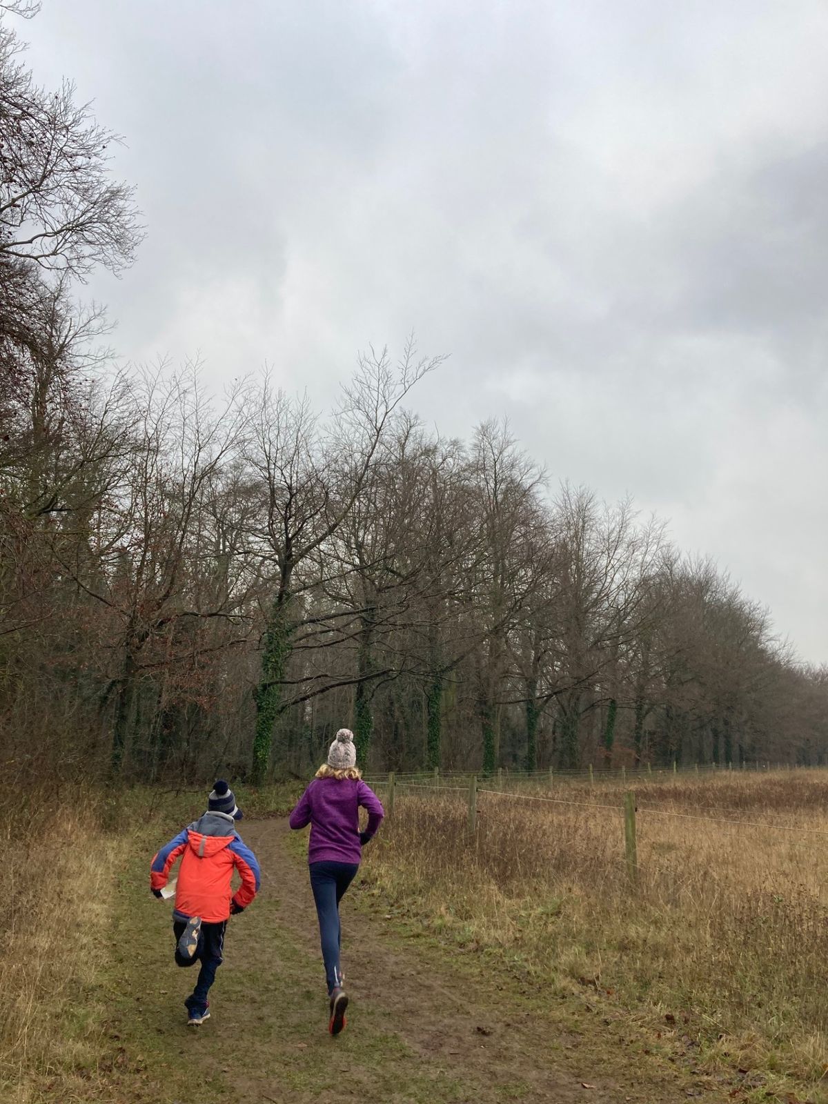 Orienteering in Wandlebury Country Park near Cambridge