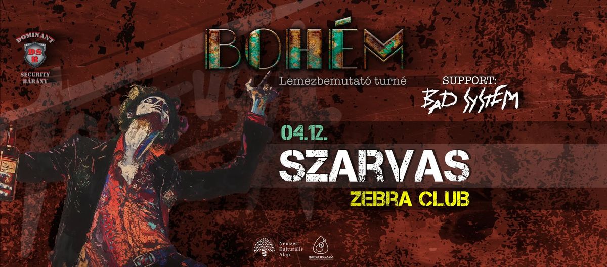 TORTUGA | Szarvas | Zebra Club | Vend\u00e9g: Bad System