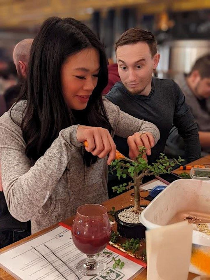 Bonsai Bar The Station by Artifact Cider Project, The Station by