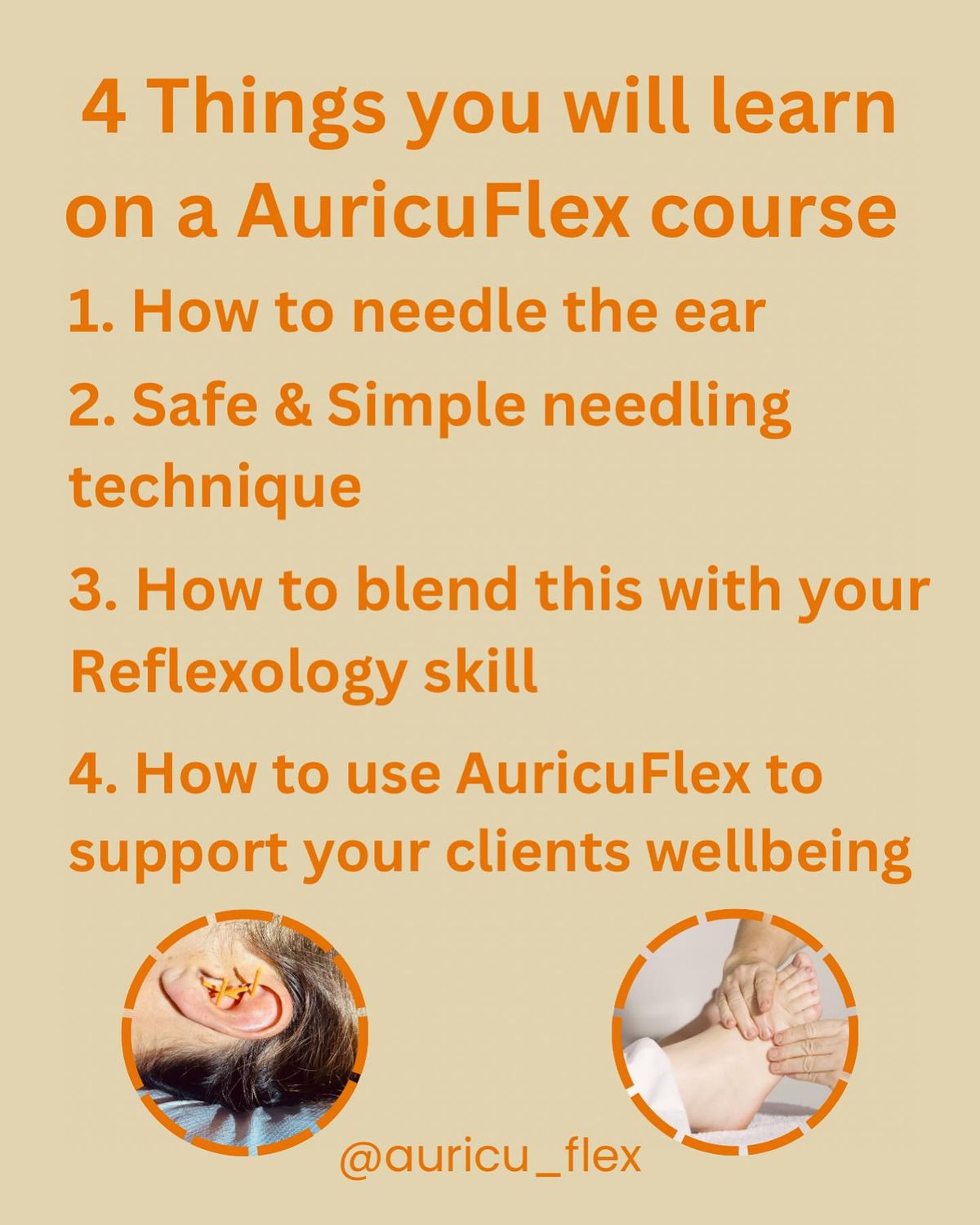 Brand New AuricuFlex\u00ae\ufe0f CPD for Reflexologists 