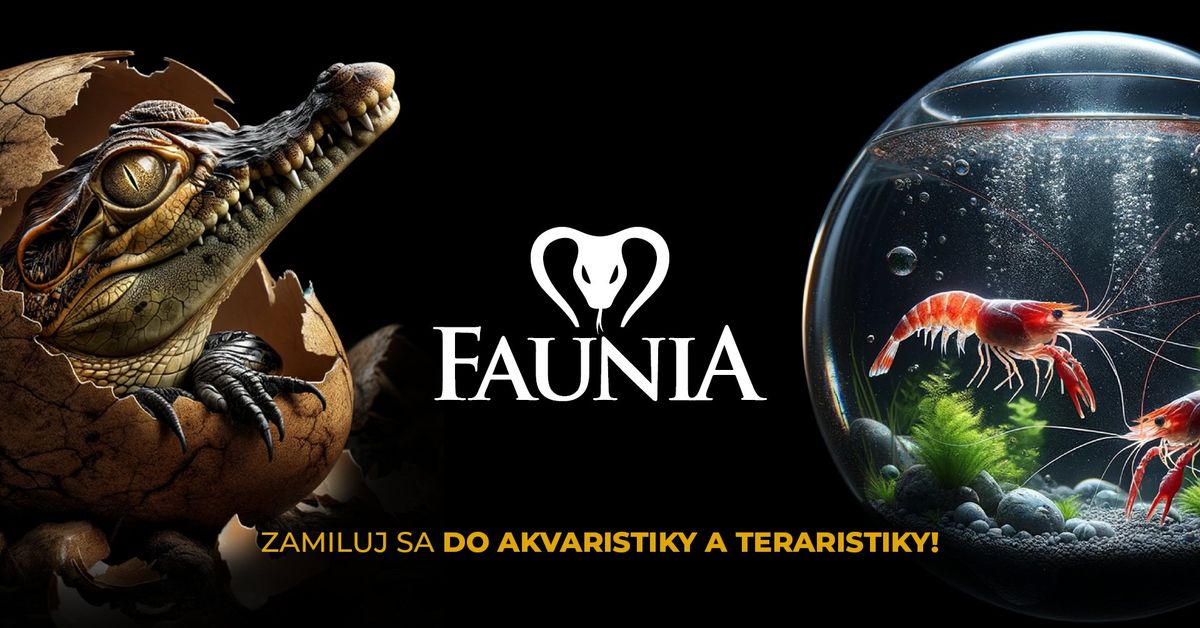 FAUNIA BRATISLAVA 17. 11. 2024