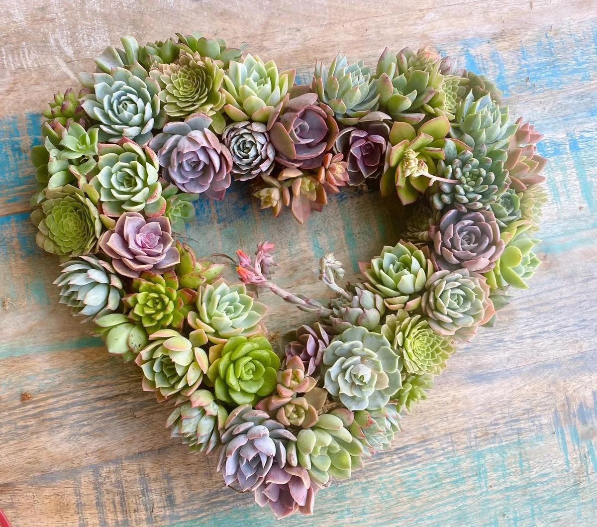 Succulent Heart Wreath Workshop