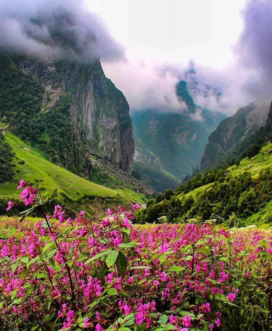 Valley of Flowers Hemkund Sahib Badrinath