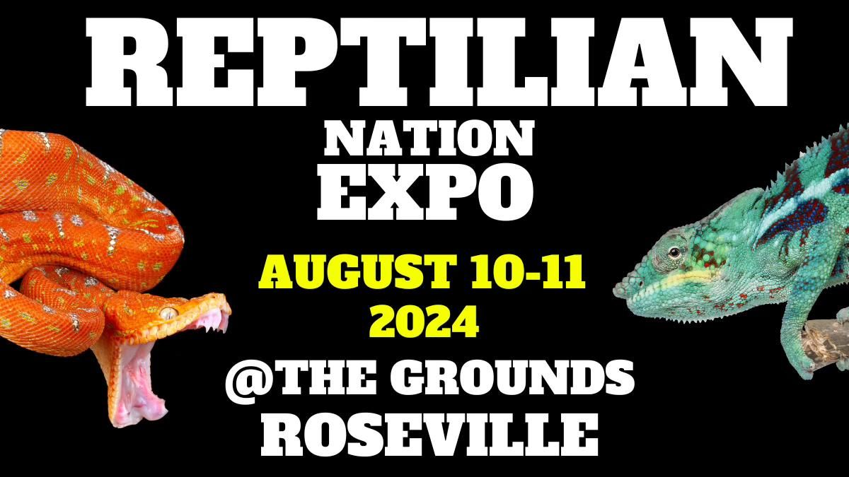 REPTILIAN NATION EXPO -ROSEVILLE